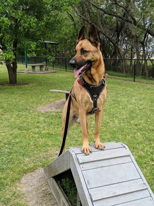 Ella & Friends Dog Park 5