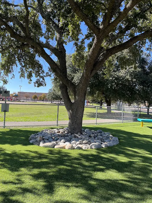 Sneed Dog Park 4