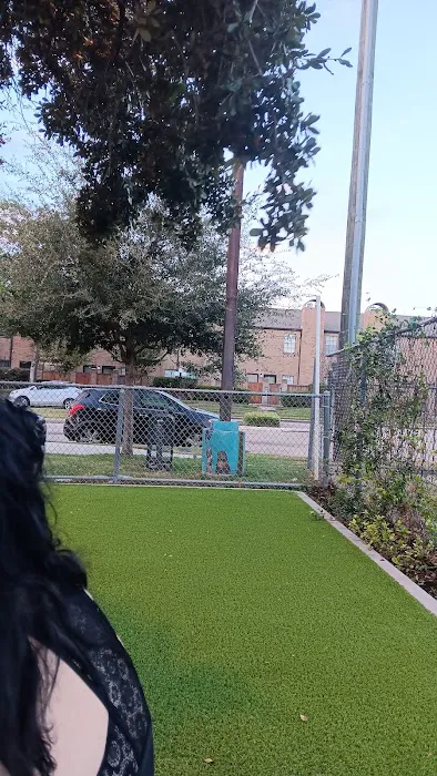 Sneed Dog Park 3