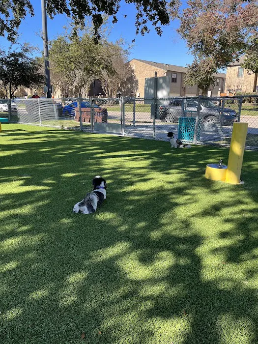 Sneed Dog Park 5