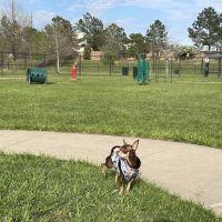 Westwillow Dog Park ico