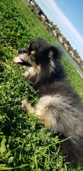Jersey Village Dog Park 2