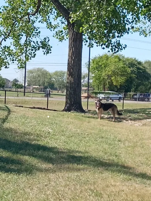 Jersey Village Dog Park 6