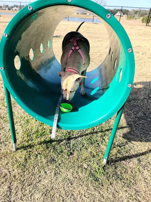 Jersey Village Dog Park 7