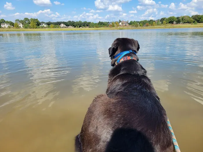 Jersey Village Dog Park 3