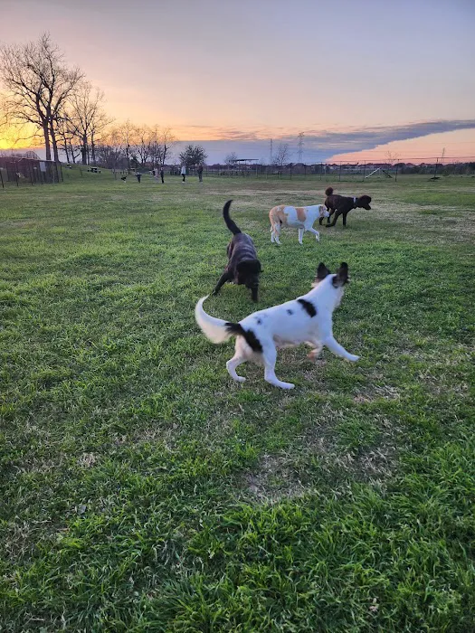 Jersey Village Dog Park 5