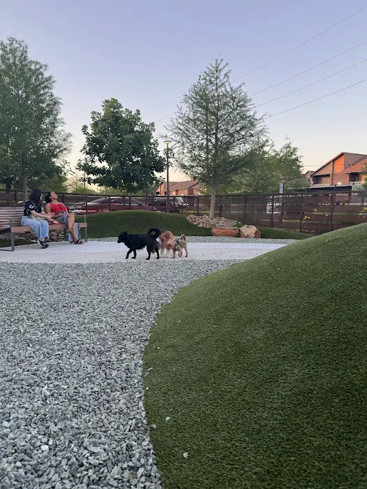 Camden Dog Park Westchase 9
