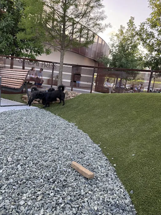 Camden Dog Park Westchase 10