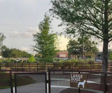 Camden Dog Park Westchase