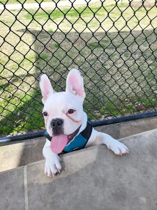 Dog Park at Atascocita Park 10