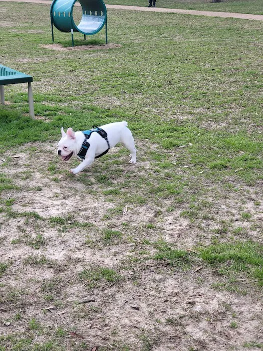 Dog Park at Atascocita Park 9