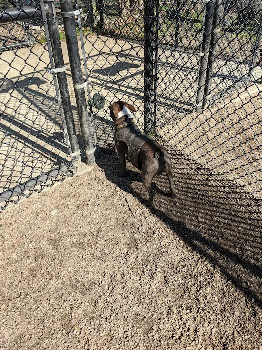 Baytown Bark Park 5