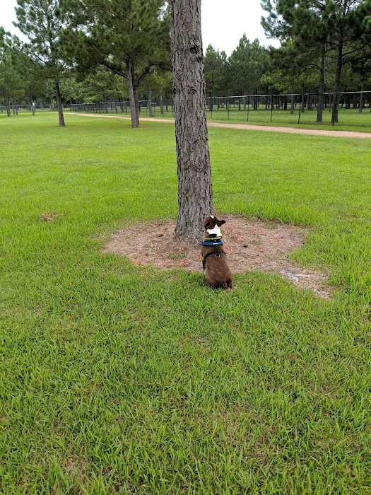 Baytown Bark Park 6