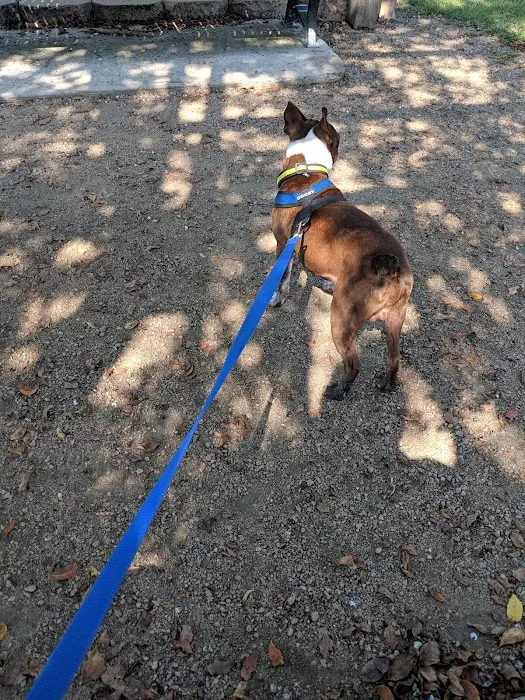 Baytown Bark Park 4