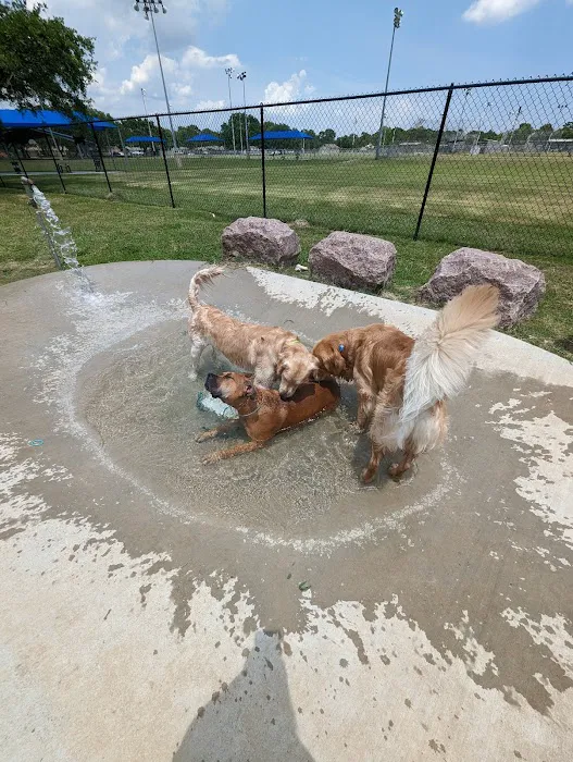 Farrington Dog Park 1