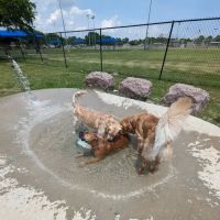Farrington Dog Park ico
