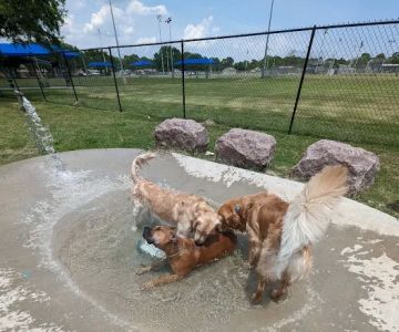 Farrington Dog Park