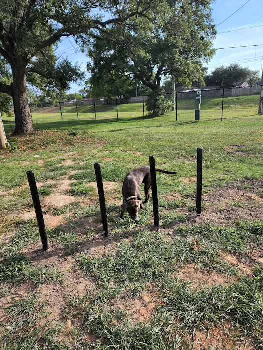 Farrington Dog Park 9