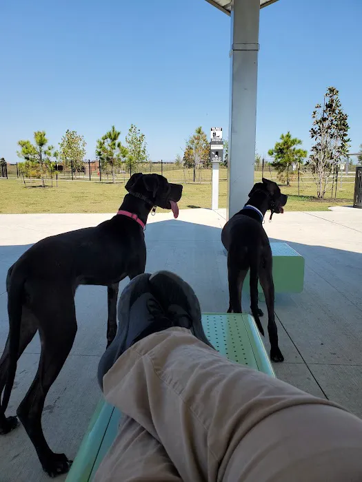 Hackberry Dog Park 8