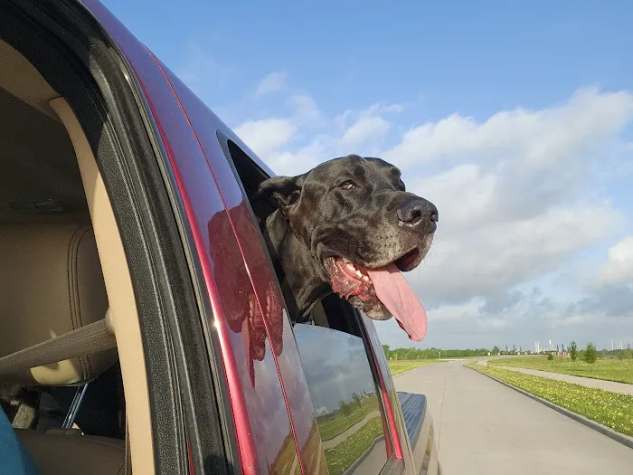 Hackberry Dog Park 7
