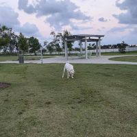Hackberry Dog Park ico