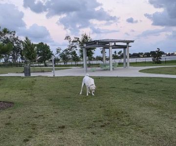 Hackberry Dog Park