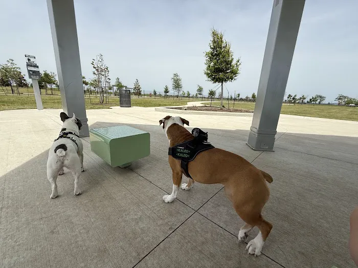 Hackberry Dog Park 4