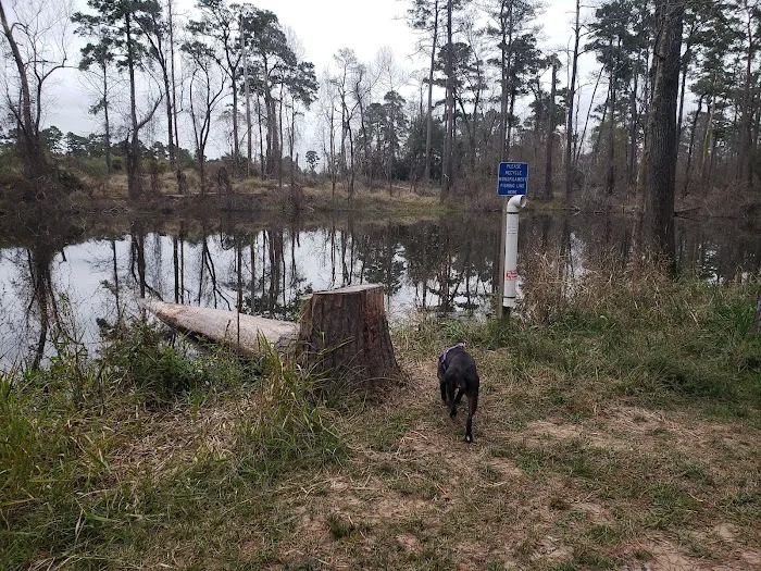 Bibi & Mini-Me Bush Dog Park 5