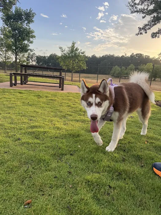 Springwoods Village Dog Park 8