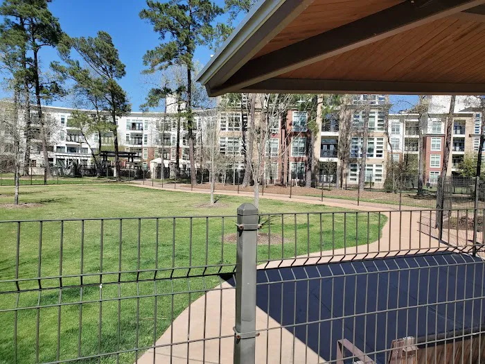 Springwoods Village Dog Park 4