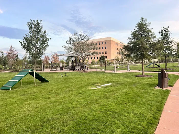 Springwoods Village Dog Park 2