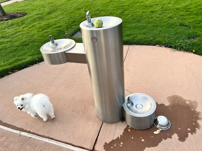 Springwoods Village Dog Park 3