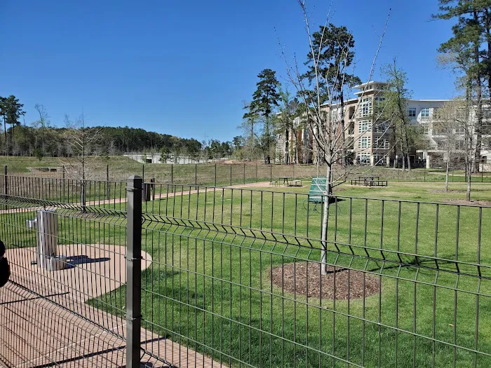 Springwoods Village Dog Park 5