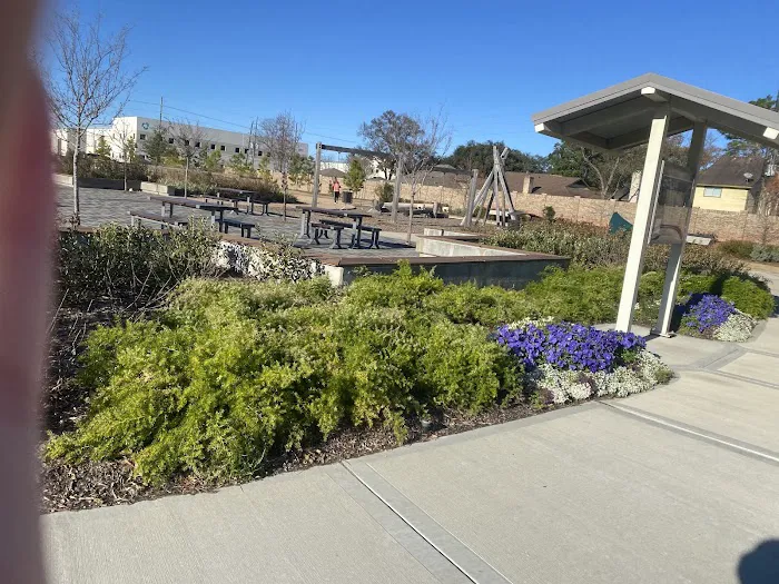 Cutten Green Dog Park 10