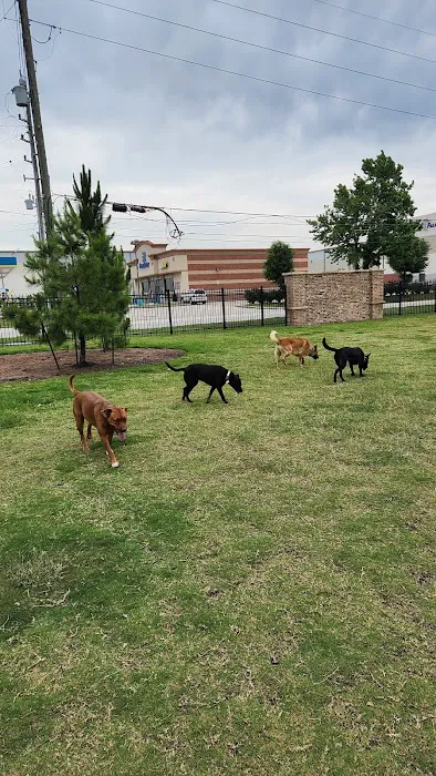 Cutten Green Dog Park 7