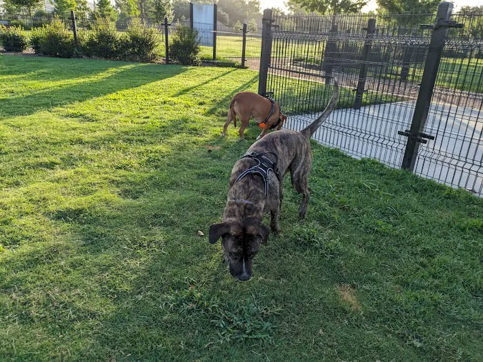 Cutten Green Dog Park 1