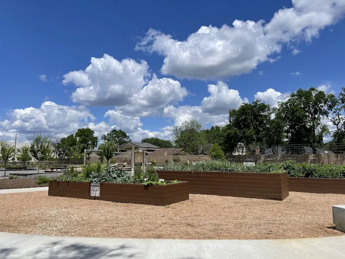 Cutten Green Dog Park 8