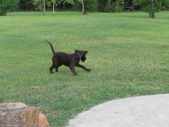 La Porte Dog Park 1