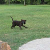 La Porte Dog Park ico