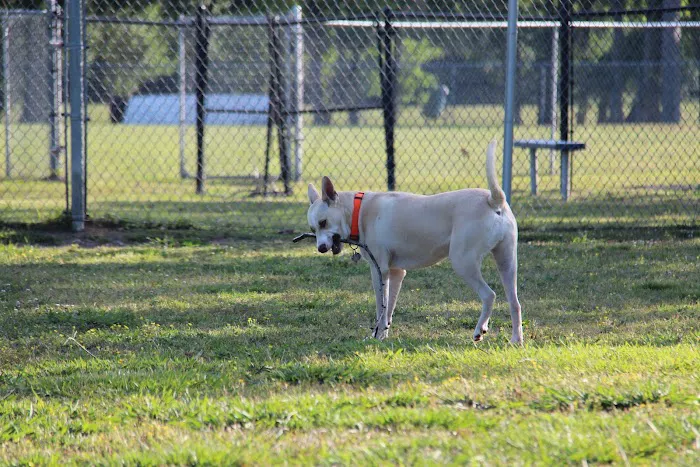 La Porte Dog Park 6