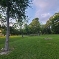 Bay Area Park Dog Park ico
