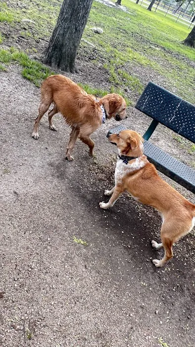 Bay Area Park Dog Park 6