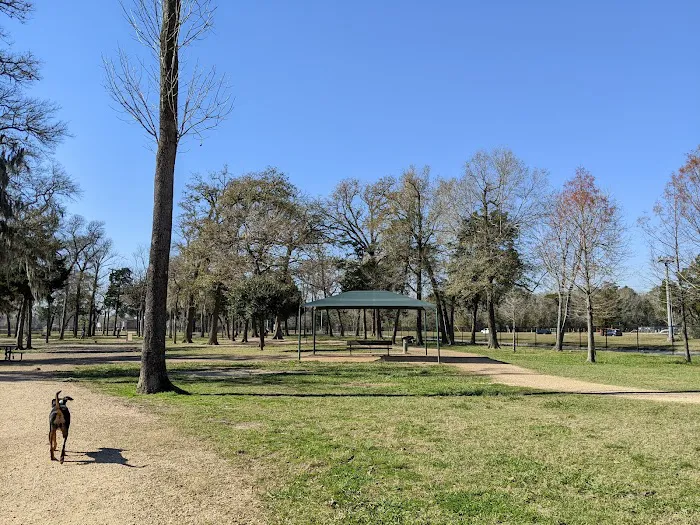 Bay Area Park Dog Park 5