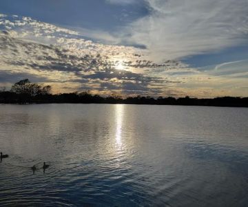 Lake Nassau Park: Dog Park