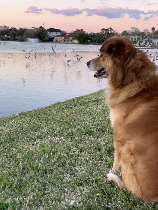 Lake Nassau Park: Dog Park 7
