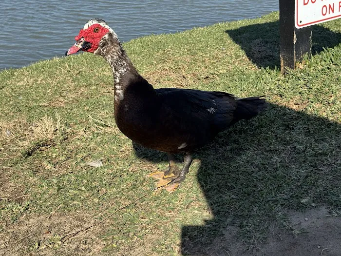 Lake Nassau Park: Dog Park 3
