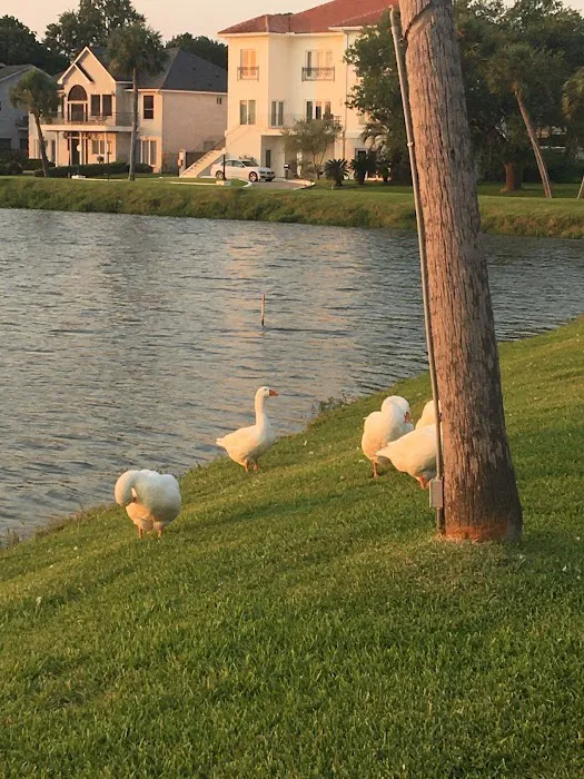 Lake Nassau Park: Dog Park 9