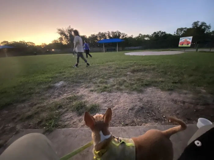 Friendswood Dogsafe Park 5