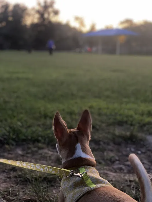 Friendswood Dogsafe Park 4