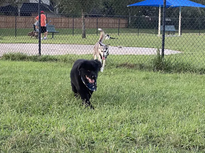 Friendswood Dogsafe Park 6
